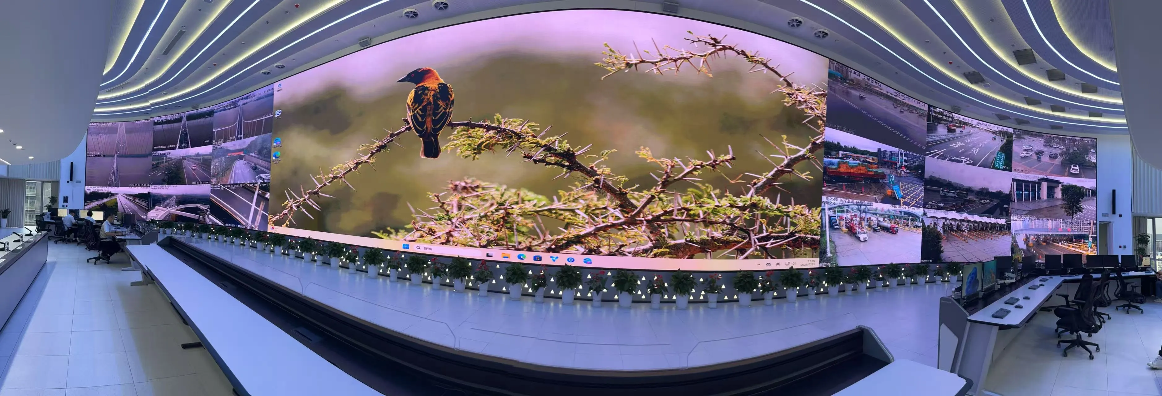 AVCiT Empowers Low-Altitude Economy for High-Quality Command demands